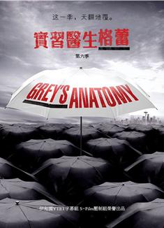 實習醫生格蕾第六季/醫人當自強第六季/Grey's Anatomy Season 6