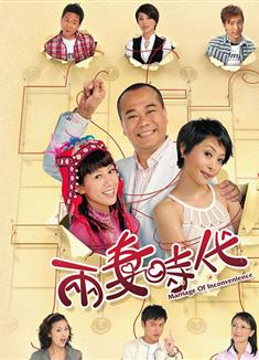 兩棲時代/兩妻時代DVD