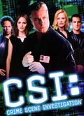 CSI：犯罪現場調查：拉斯維加斯第1-10季